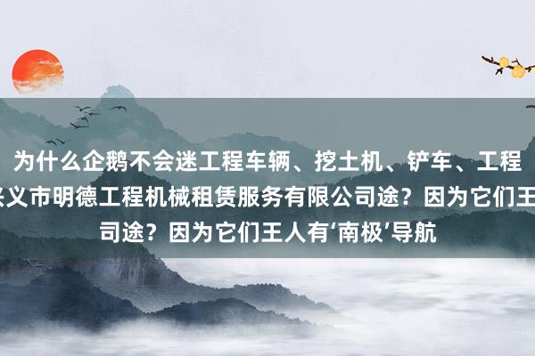 为什么企鹅不会迷工程车辆、挖土机、铲车、工程用机械租赁、兴义市明德工程机械租赁服务有限公司途?因为它们王人有‘南极’导航