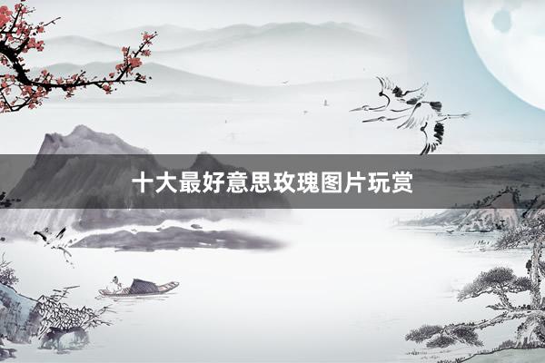 十大最好意思玫瑰图片玩赏