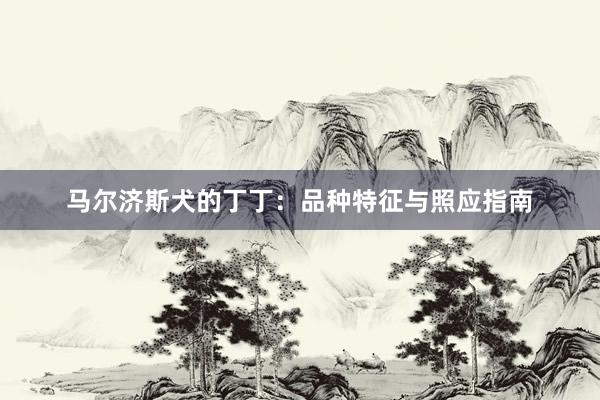 马尔济斯犬的丁丁:品种特征与照应指南