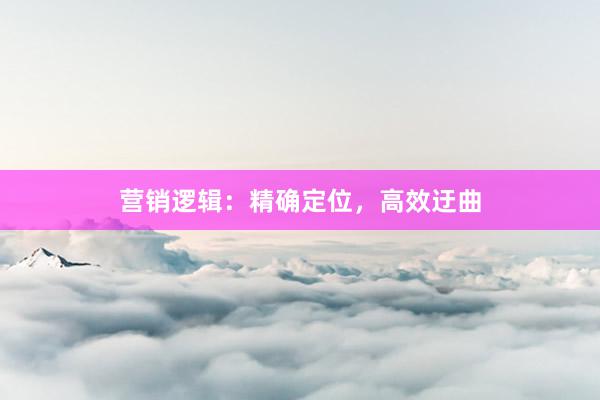 营销逻辑:精确定位,高效迂曲